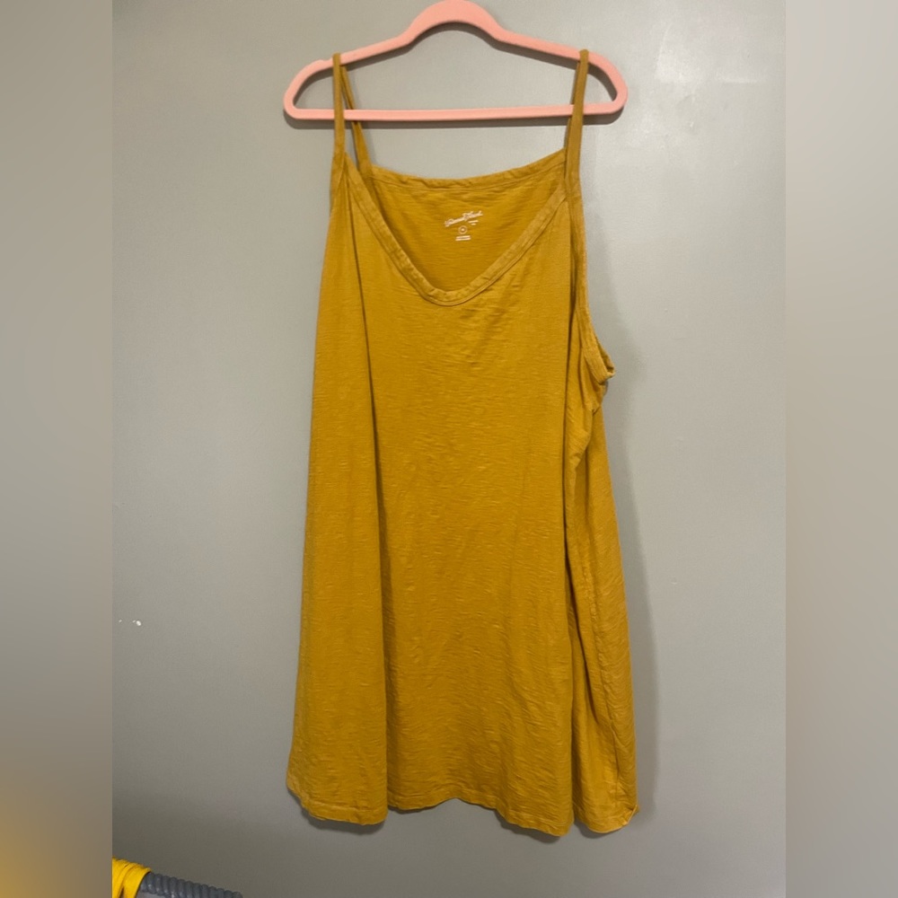 Spaghetti strap trapeze dress